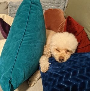 Meet your Posher, Donna